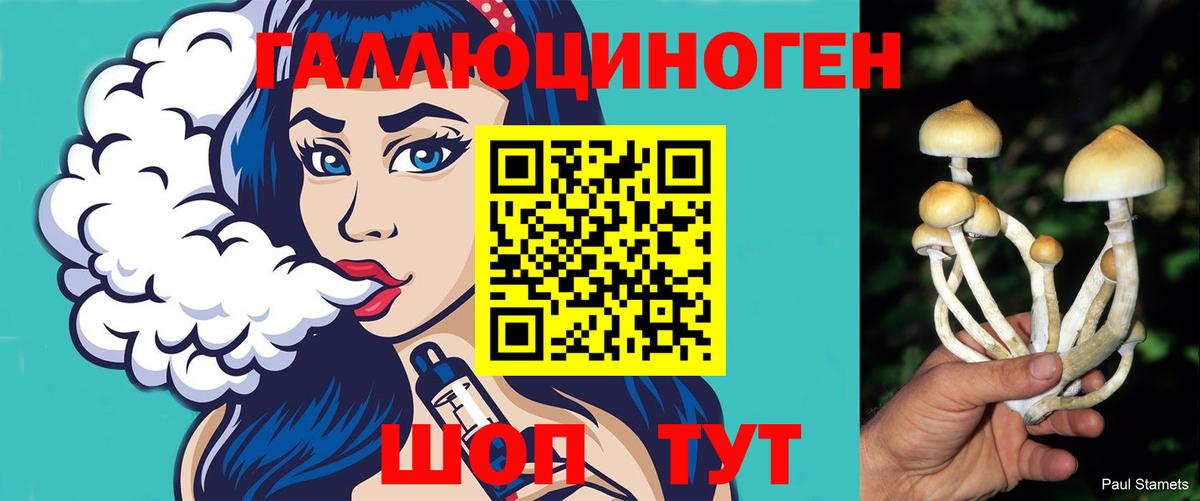 Галлюциногенные грибы Magic Shrooms Магнитогорск